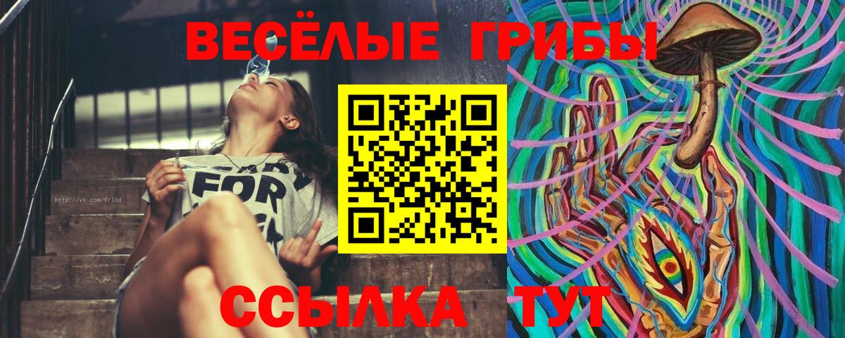 Галлюциногенные грибы MAGIC MUSHROOMS  Вход с VPN  Псилоцибиновые грибы мухоморы  Заволжье 