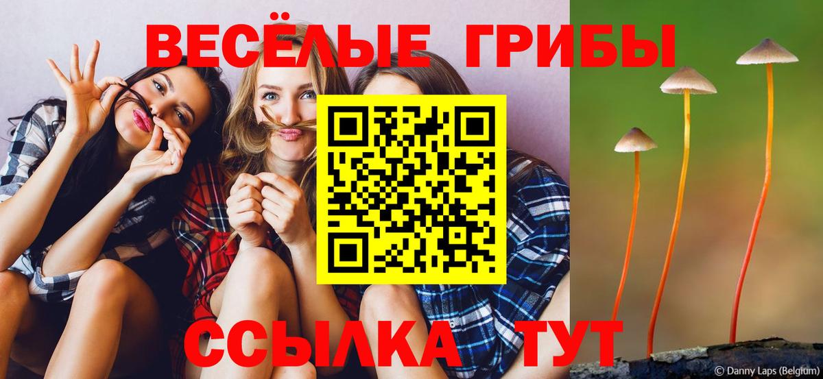 Псилоцибиновые грибы Psilocybine cubensis Заволжье